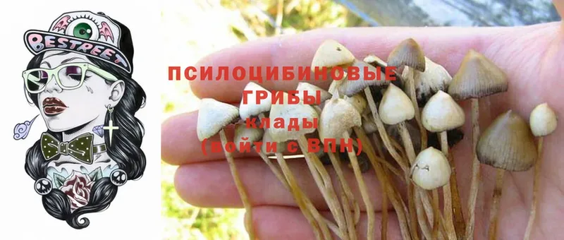 площадка клад  Заречный  Галлюциногенные грибы Magic Shrooms 